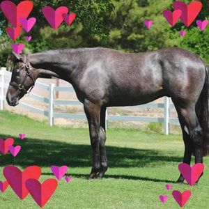 Meet your Posher, Jenni